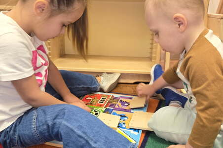 The leaves are changing colors